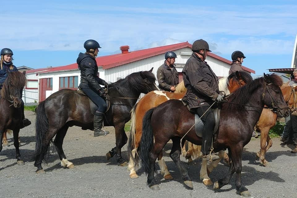 Topphestar-Saudarkrokur必去景点