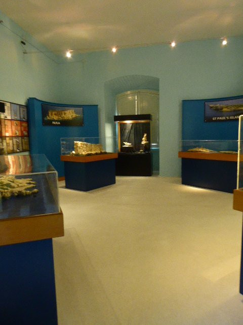 National Museum of Natural History-姆迪纳必去景点