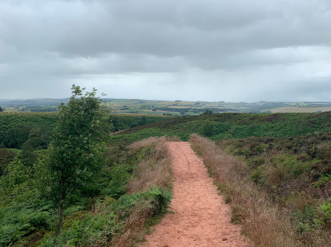 Lomond Hills-Falkland必去景点