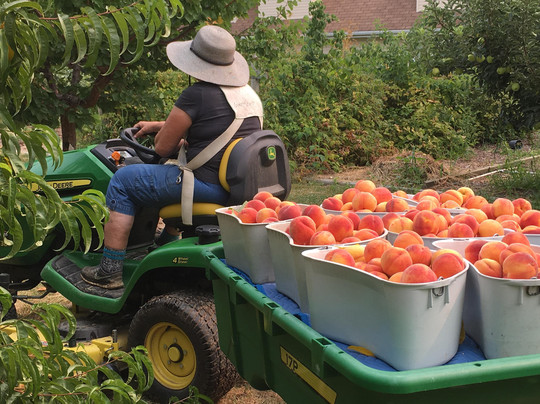 Victorian Acres Fruit Farm-Creston必去景点