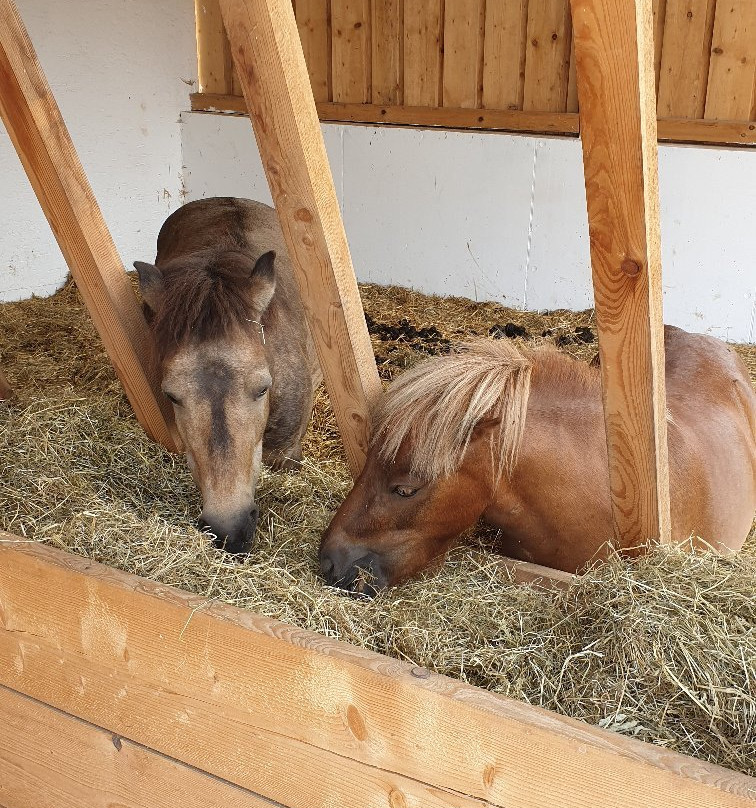 Gaestehaus Kirchenbauerhof主图