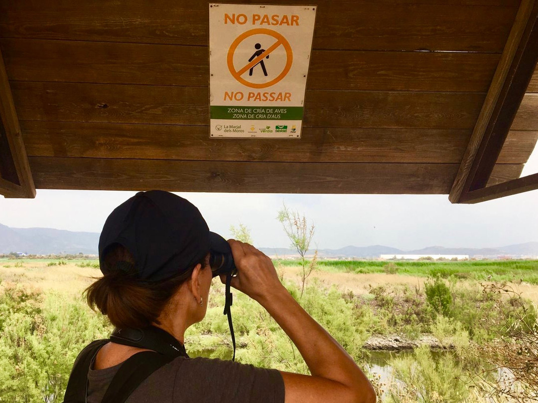 Valencia Birding Birdwatching Tours景点图片