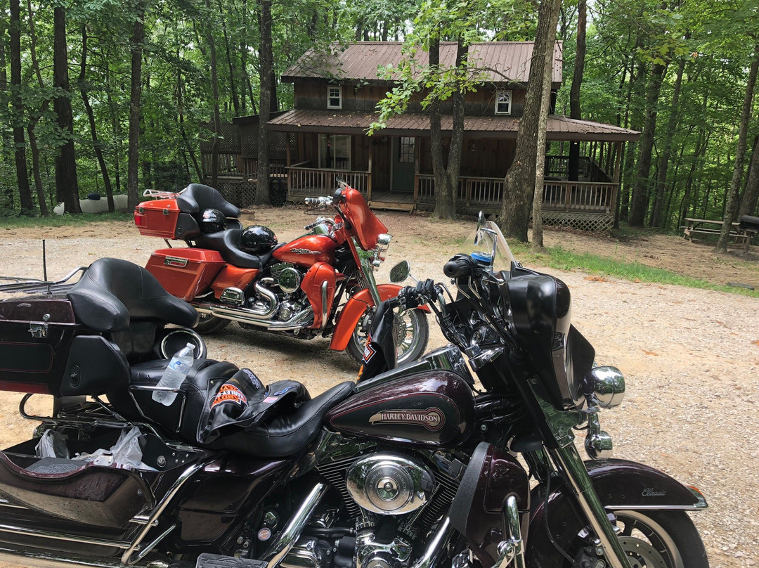 Chop Chestnut Cabins