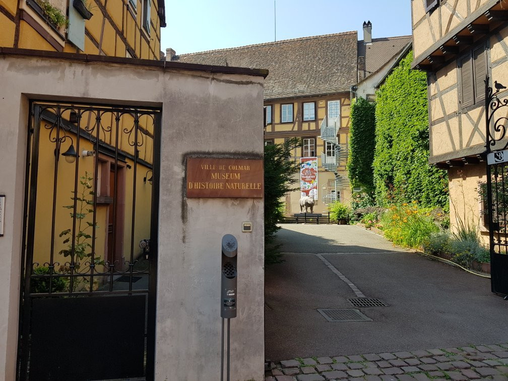 Le Musee d'Histoire Naturelle et d'Ethnographie-科尔马必去景点