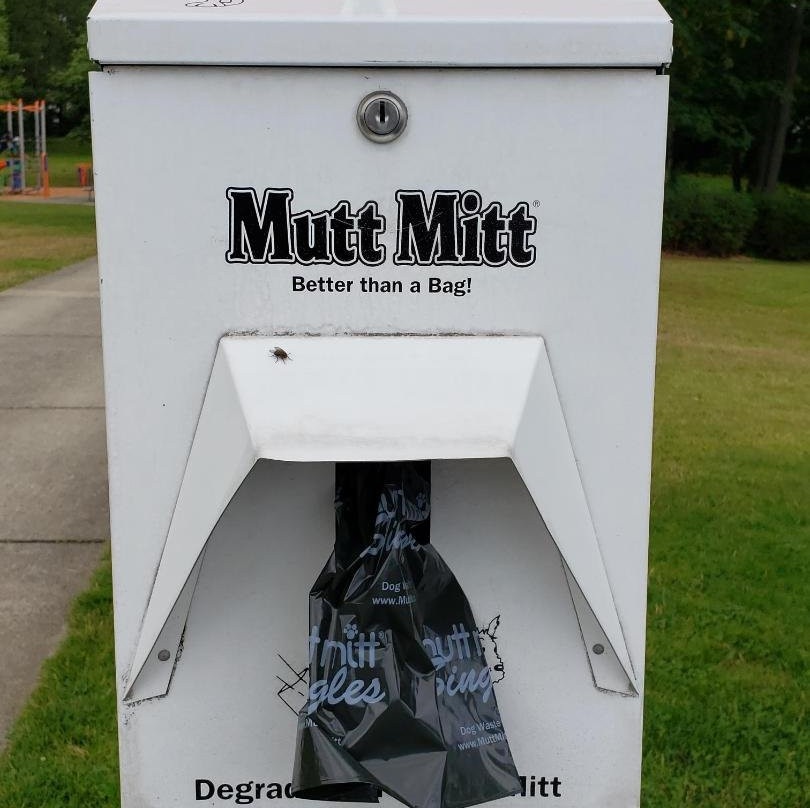 Thomas Teasdale Park-伦顿必去景点