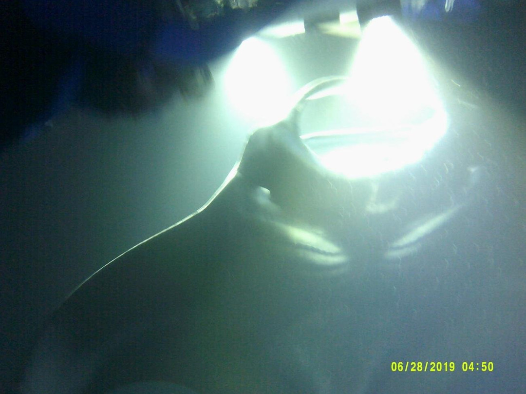 Maui Reef Adventures-毛伊岛必去景点