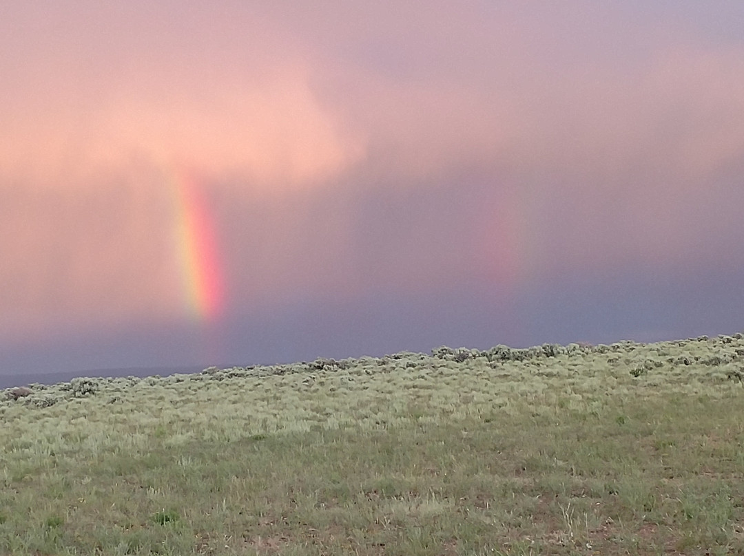 Fishlake National Forest-里奇菲尔德必去景点
