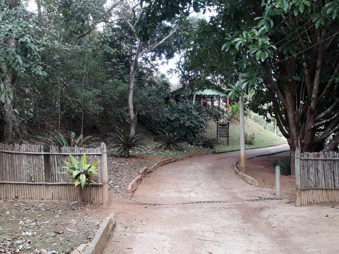 Cachoeira da India-Conservatoria必去景点