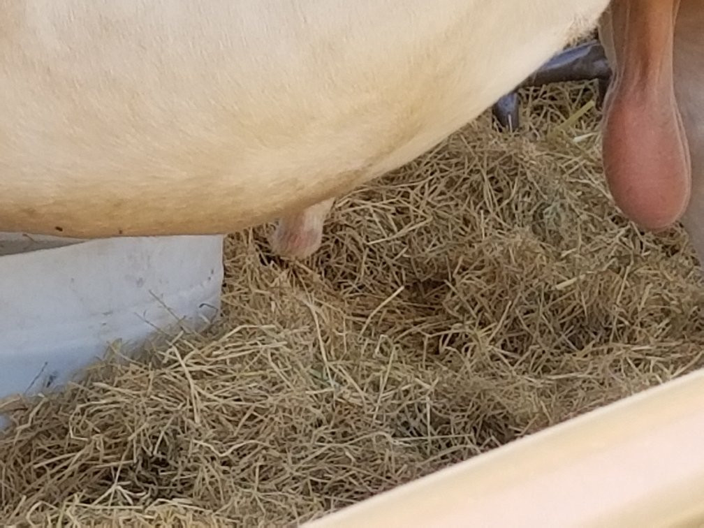 Oasis-旧金山必去景点