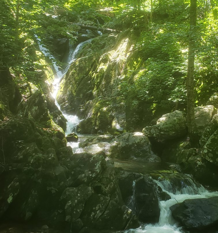 South River Falls Trail景点图片