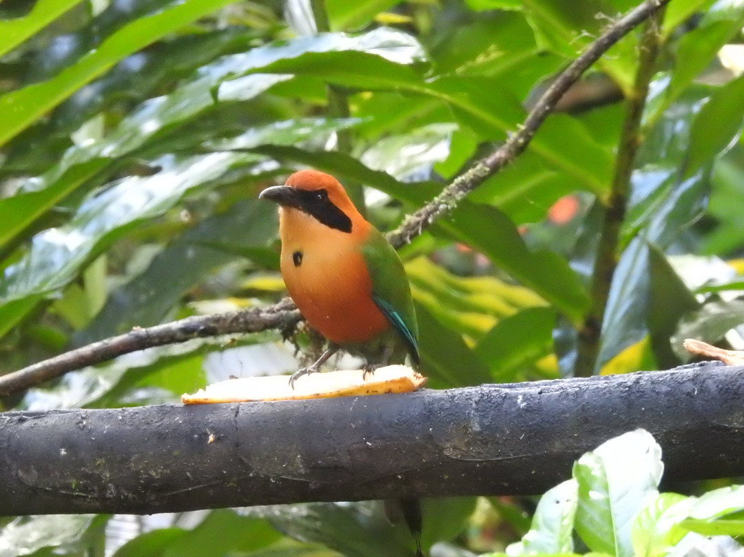 Casa Divina Eco Lodge主图