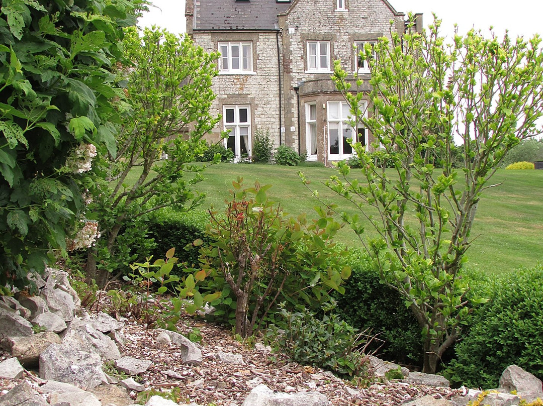 Langrish House B&B主图