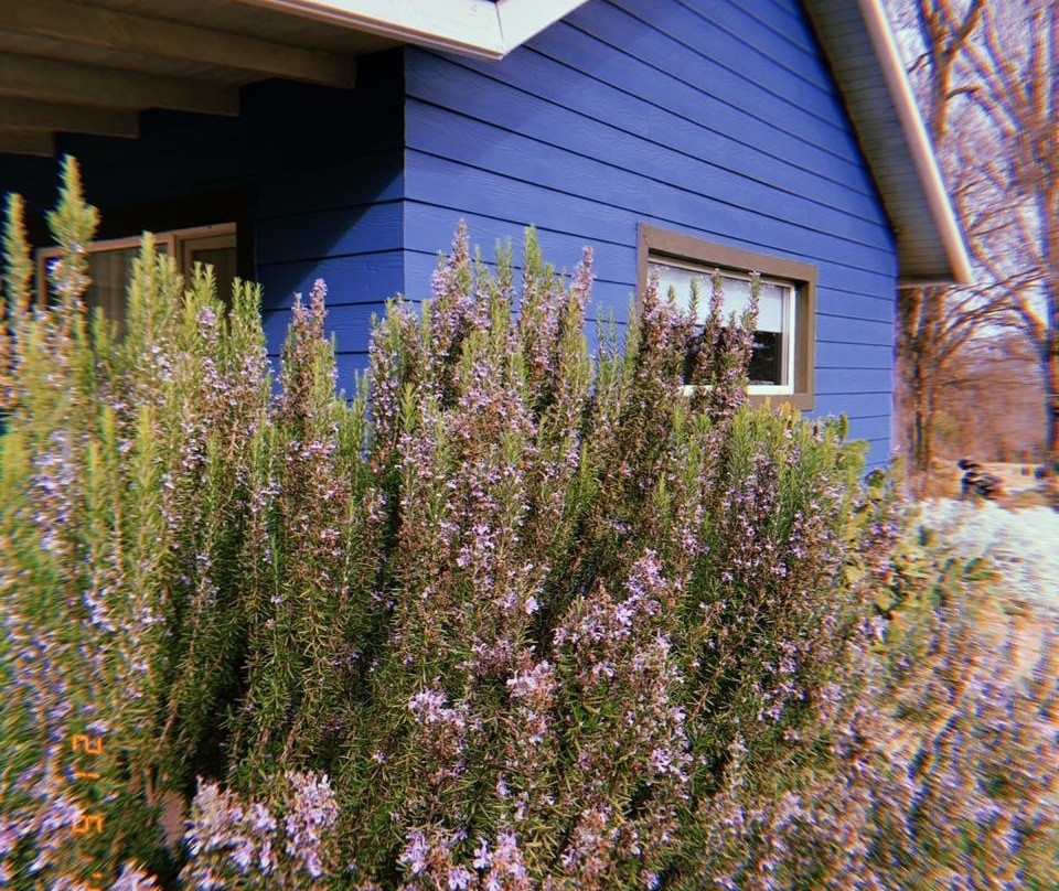 Chacra La Invernada主图