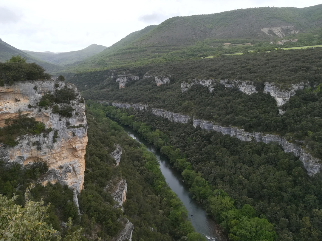 Pesquera de Ebro旅游攻略图片