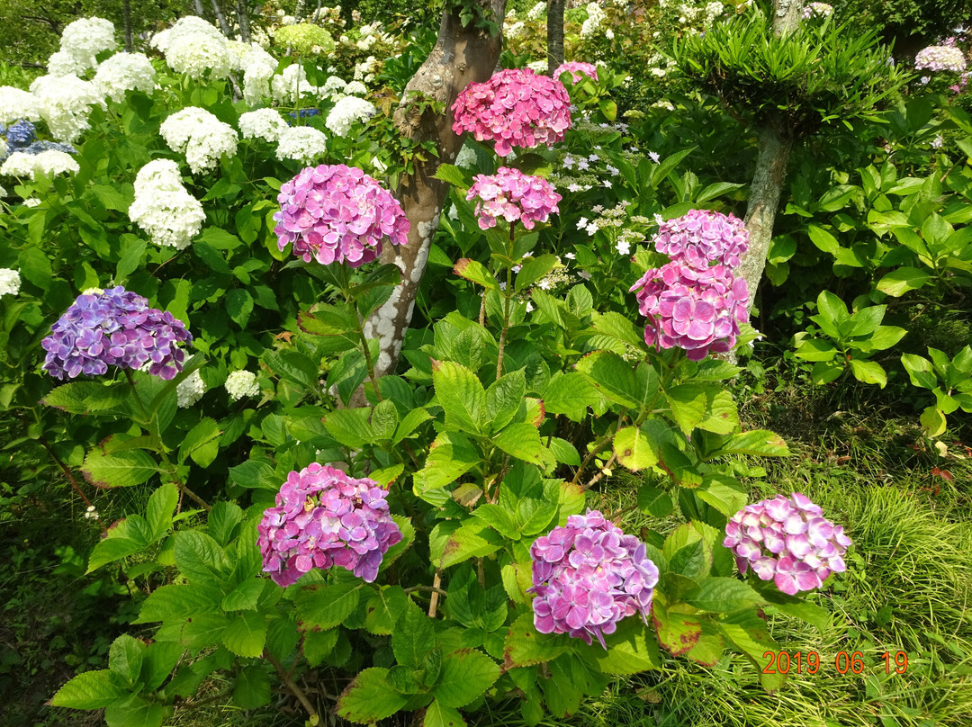 Gokuraku-ji Temple-森町必去景点