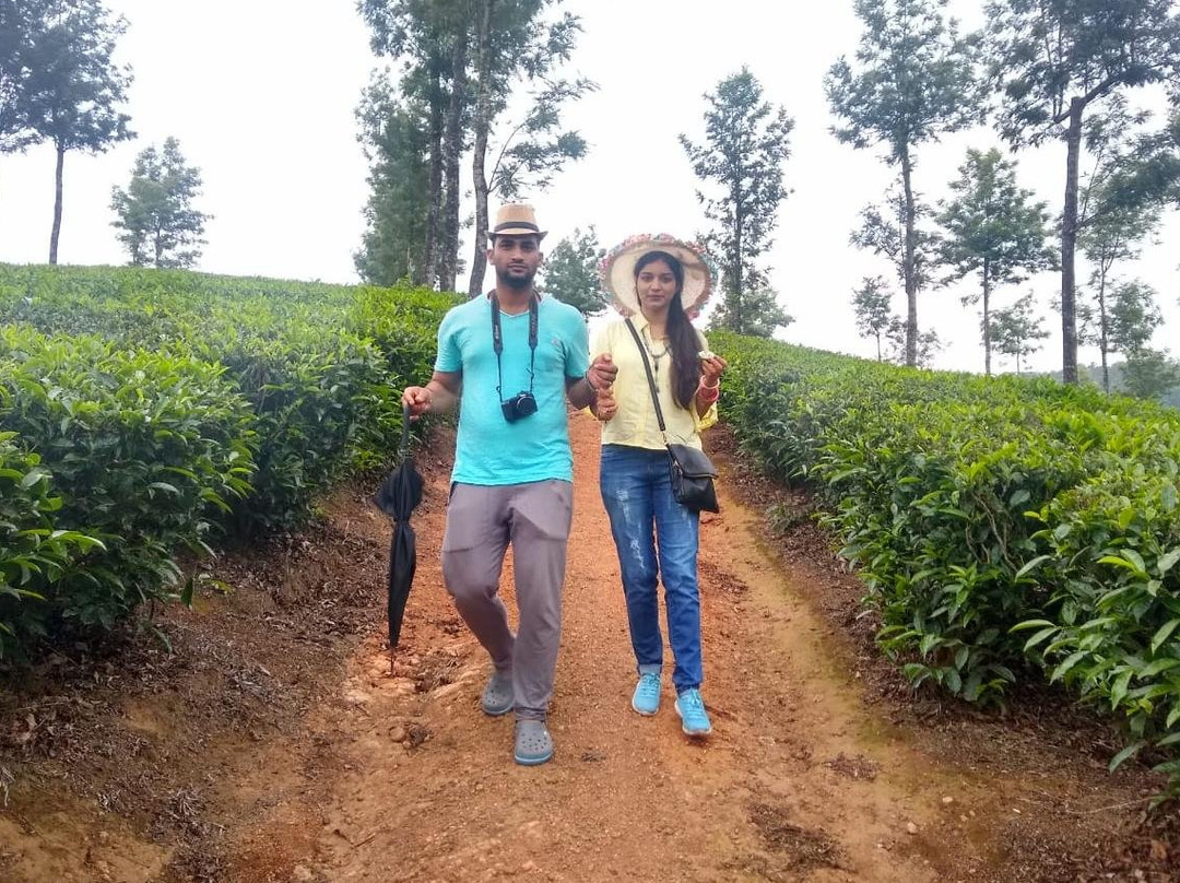 Only Organic-Devikulam必去景点