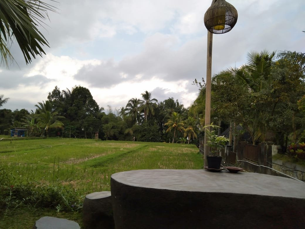 Dukuh Sebatu Villa主图