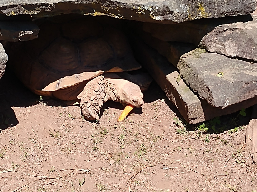 Bailiwick Animal Park-Catskill必去景点