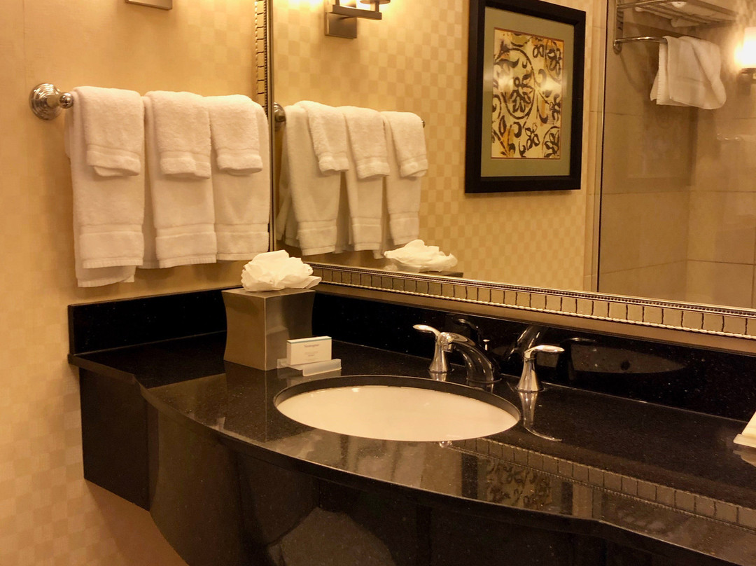 Hilton Garden Inn Rockville-Gaithersburg主图