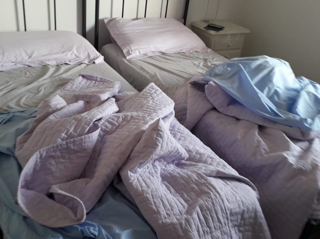 B&B VIlla Inn主图