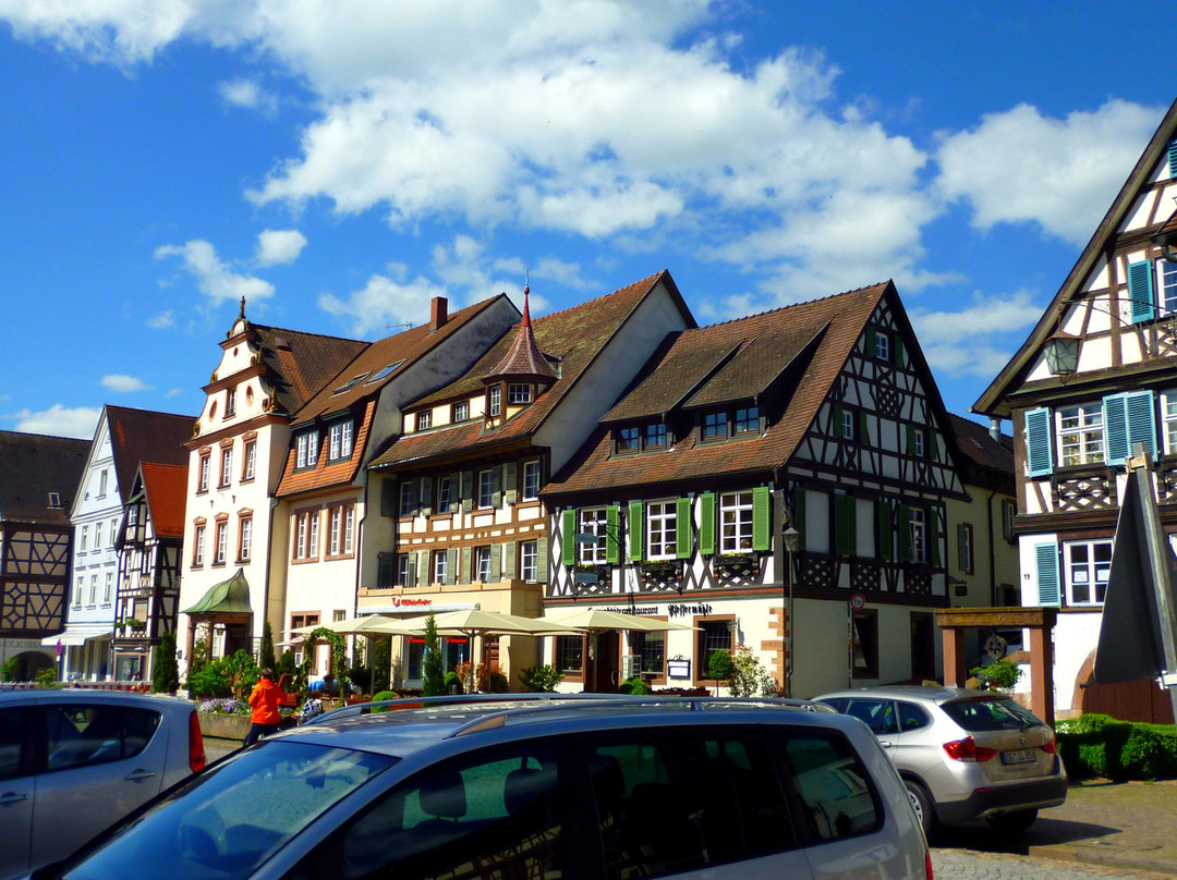 Schwarzwald Villa主图