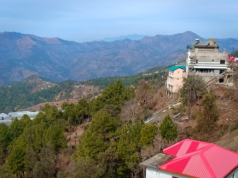 酒店舒适庄园主图