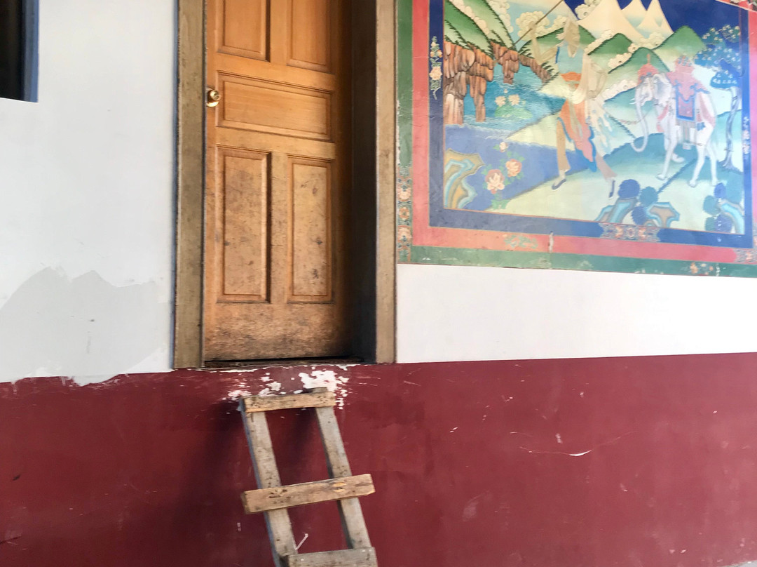 当雄白马酒店主图