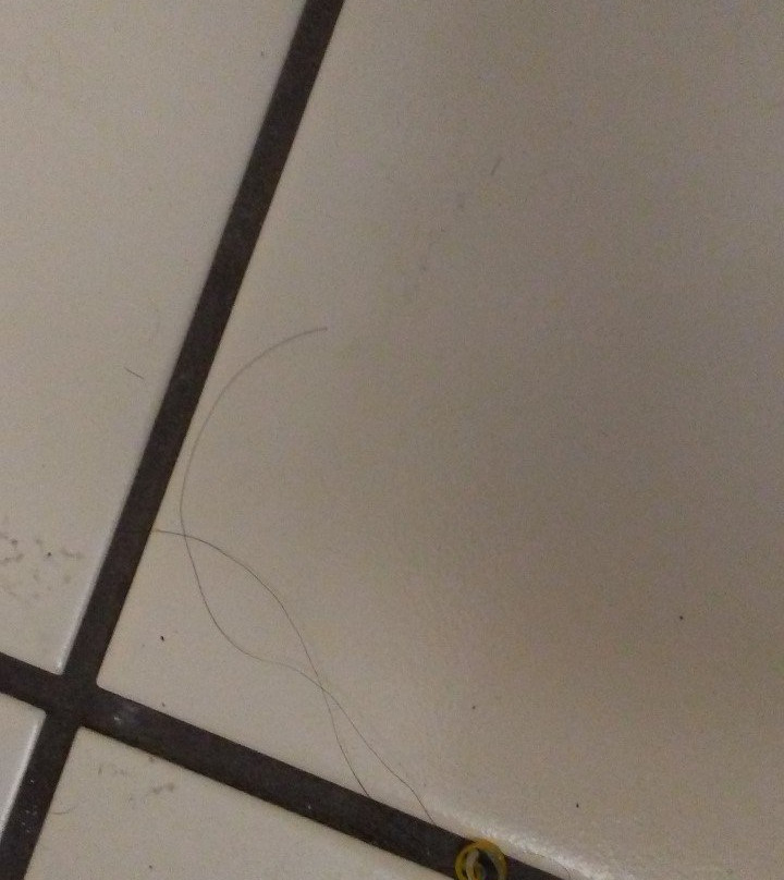 Quality Inn Los Lunas主图