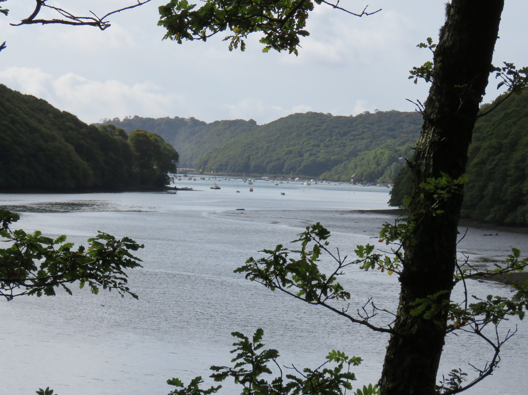 Lerryn to St Winnow-Lerryn必去景点