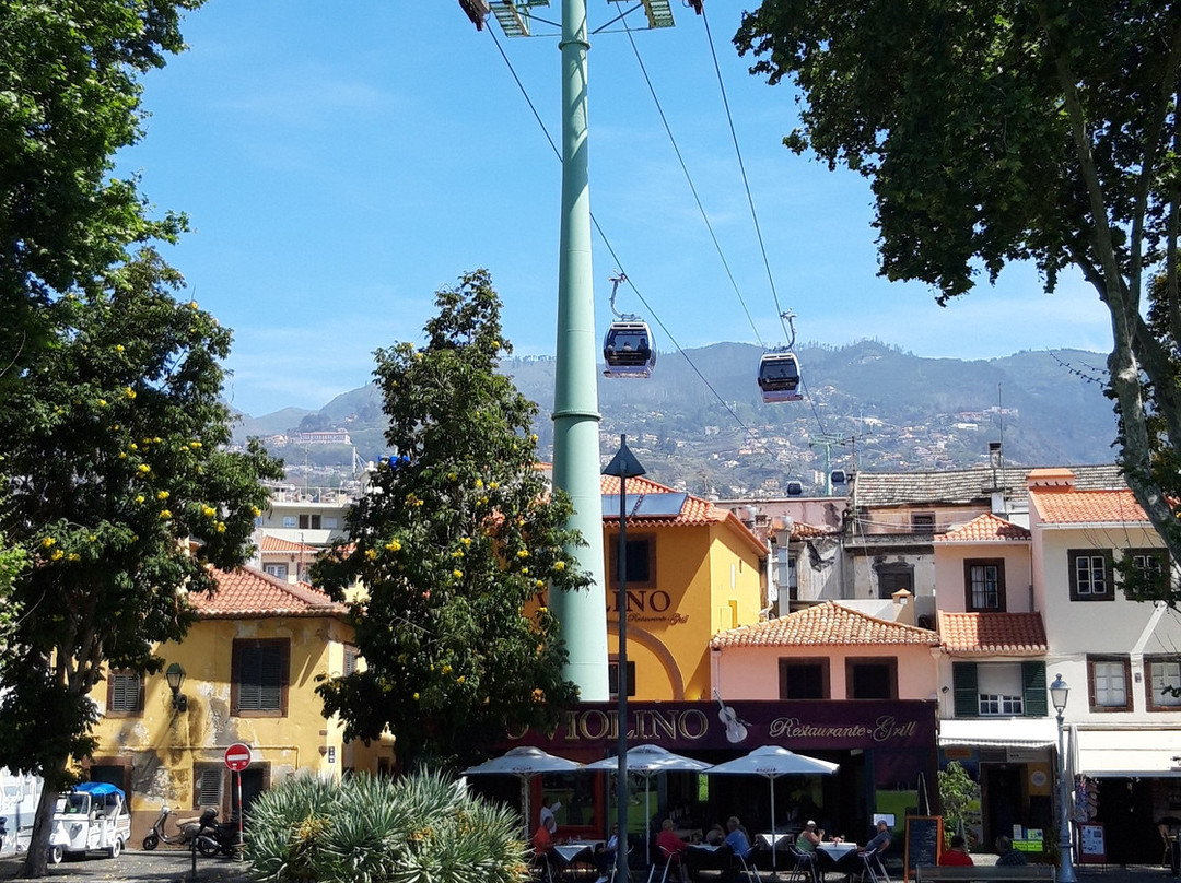 Botanical Garden Cable Car-沙尔必去景点