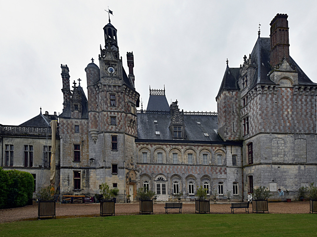 Chateau de Montigny-le-Gannelon景点图片