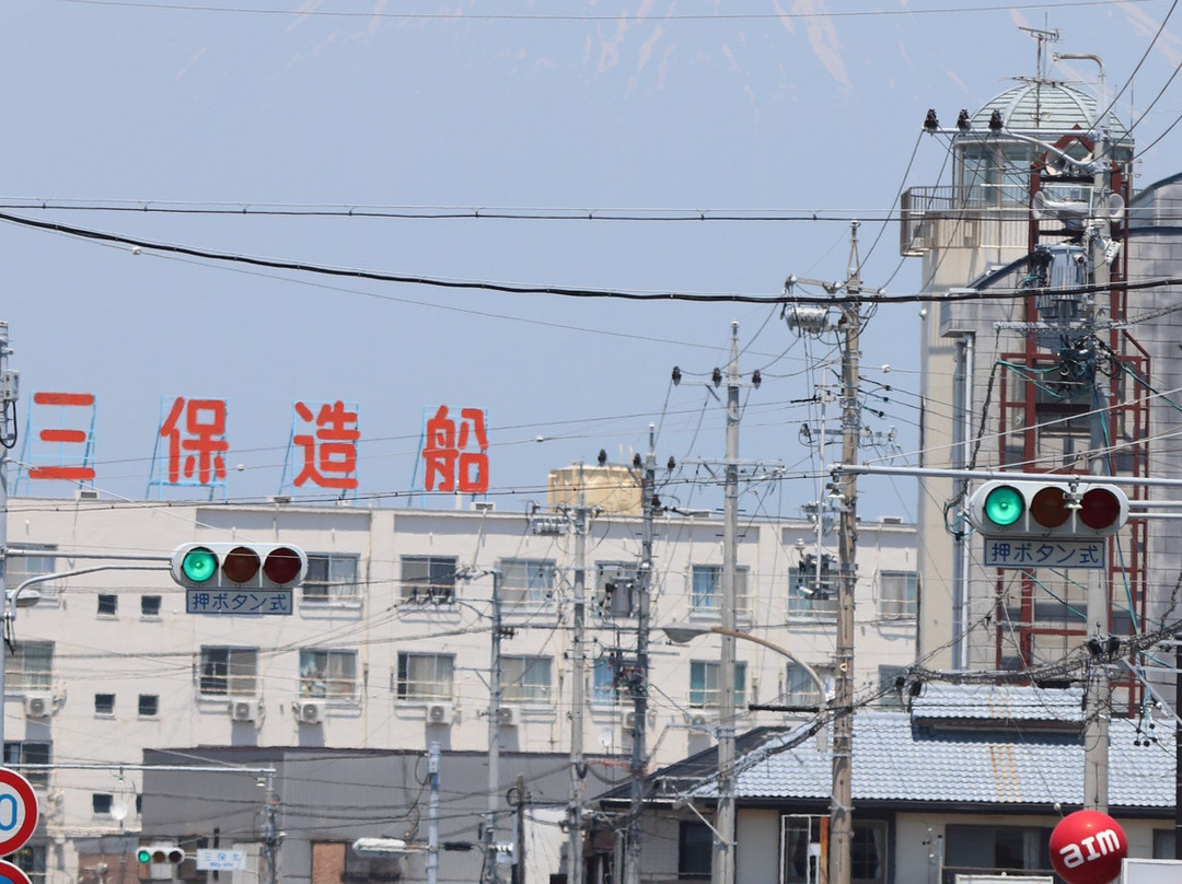 Shimizu Port景点图片