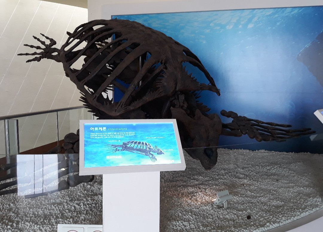 Mokpo Natural History Museum-木浦市必去景点