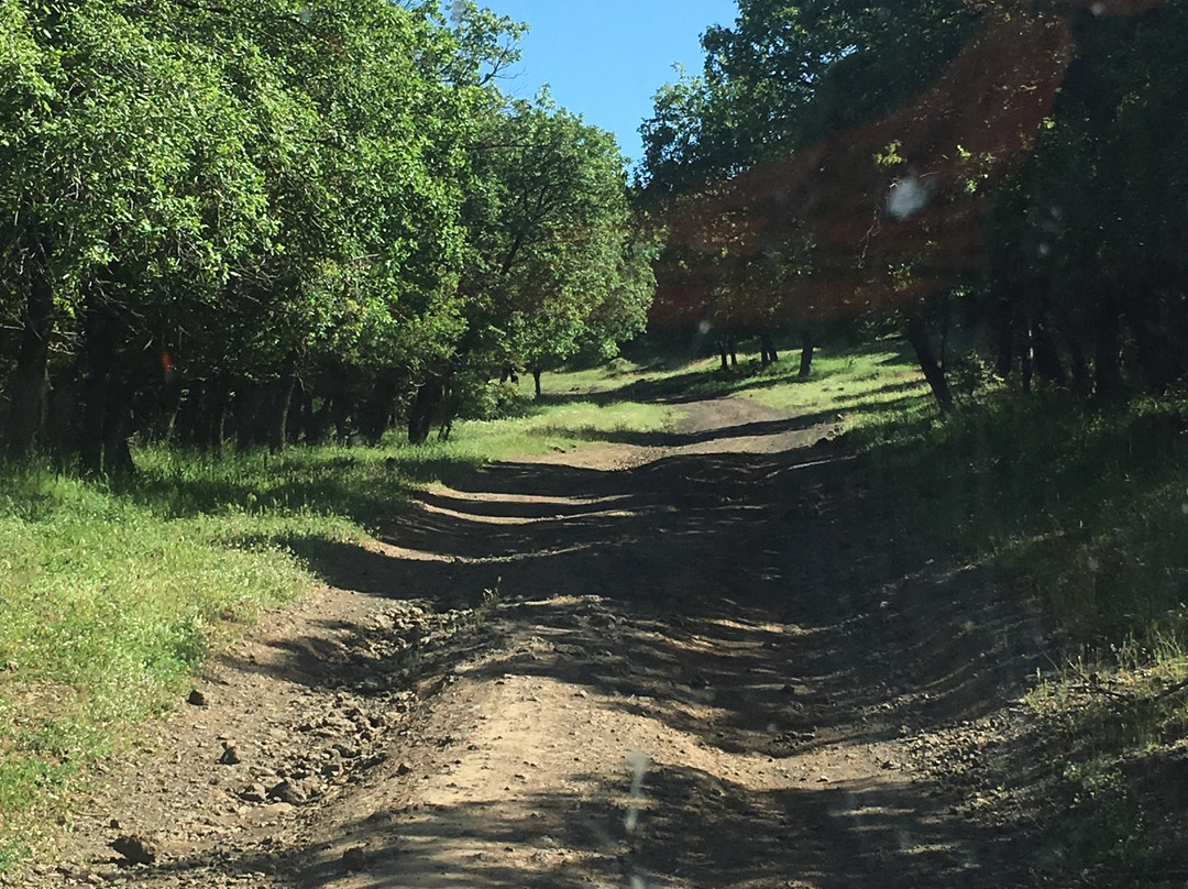 Tatanka Jeep Tours-Merom Golan必去景点