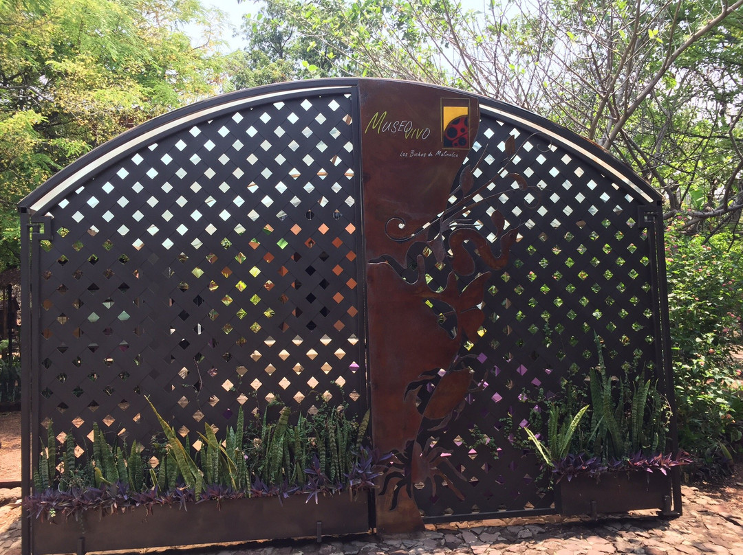 Museo Vivo-Malinalco必去景点