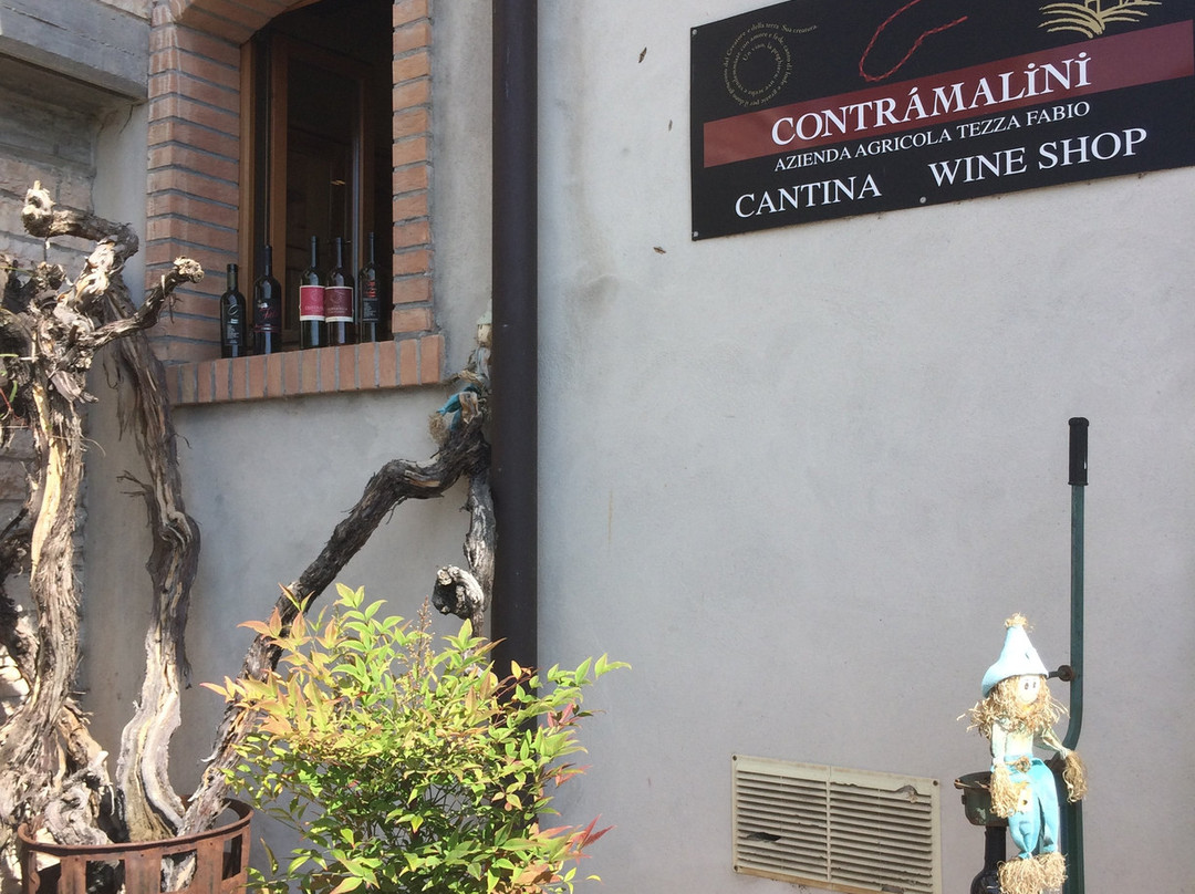 Contramalini Azienda Agricola Tezza Fabio景点图片