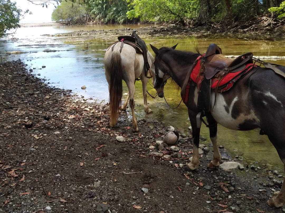 El Pinto Horseback Riding Expeditions景点图片