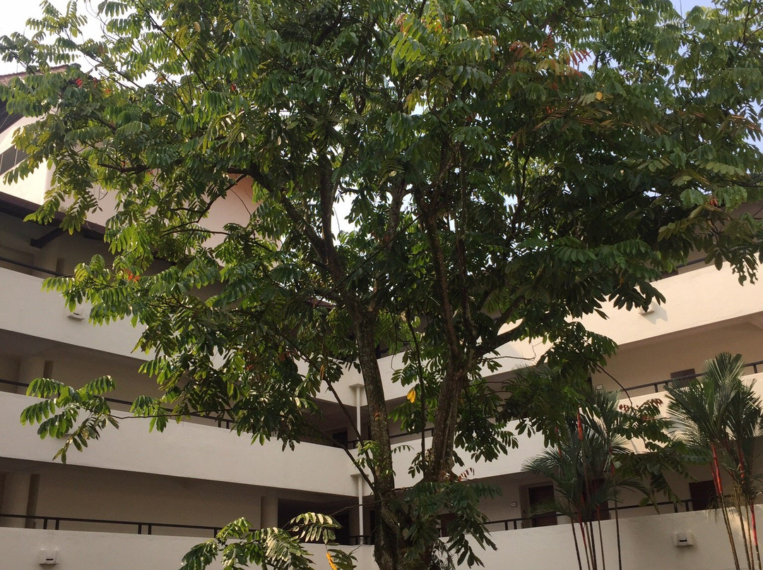 The Club Saujana Resort主图