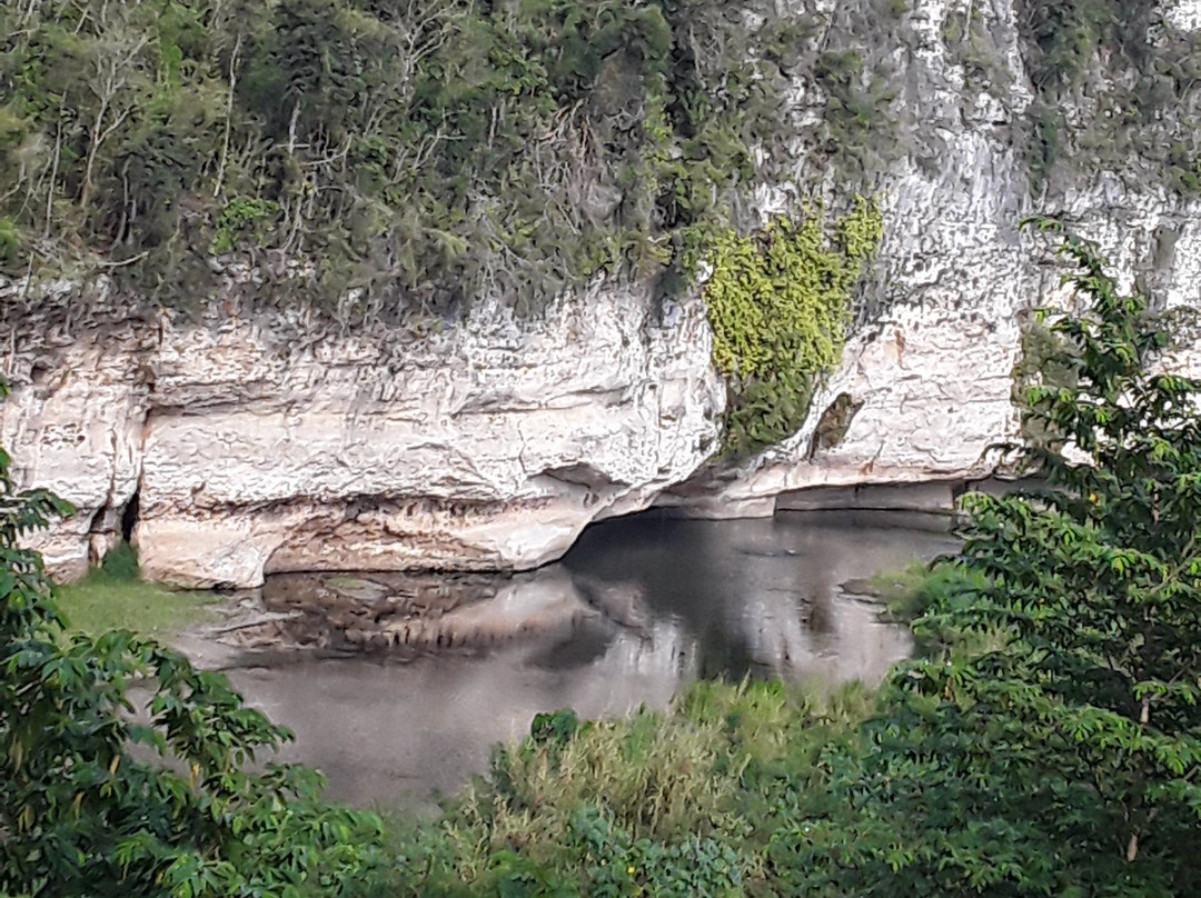Manati Bridge at Mata de Platano-Ciales必去景点