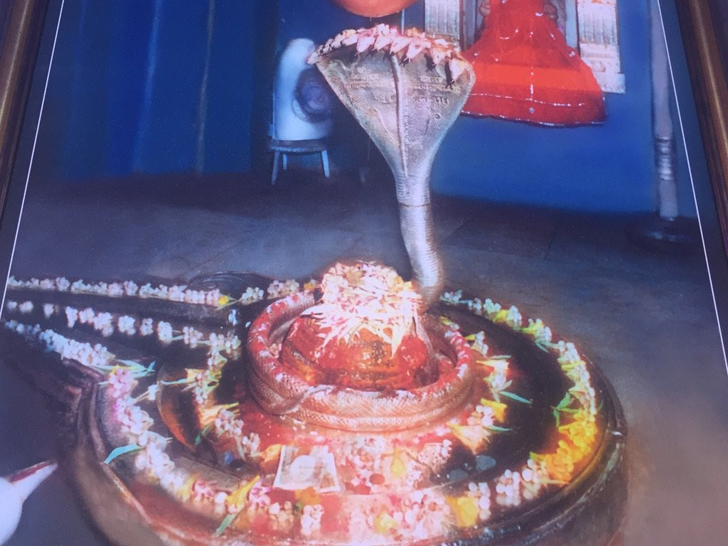 Shoolpaneshwar Mahadev Temple景点图片