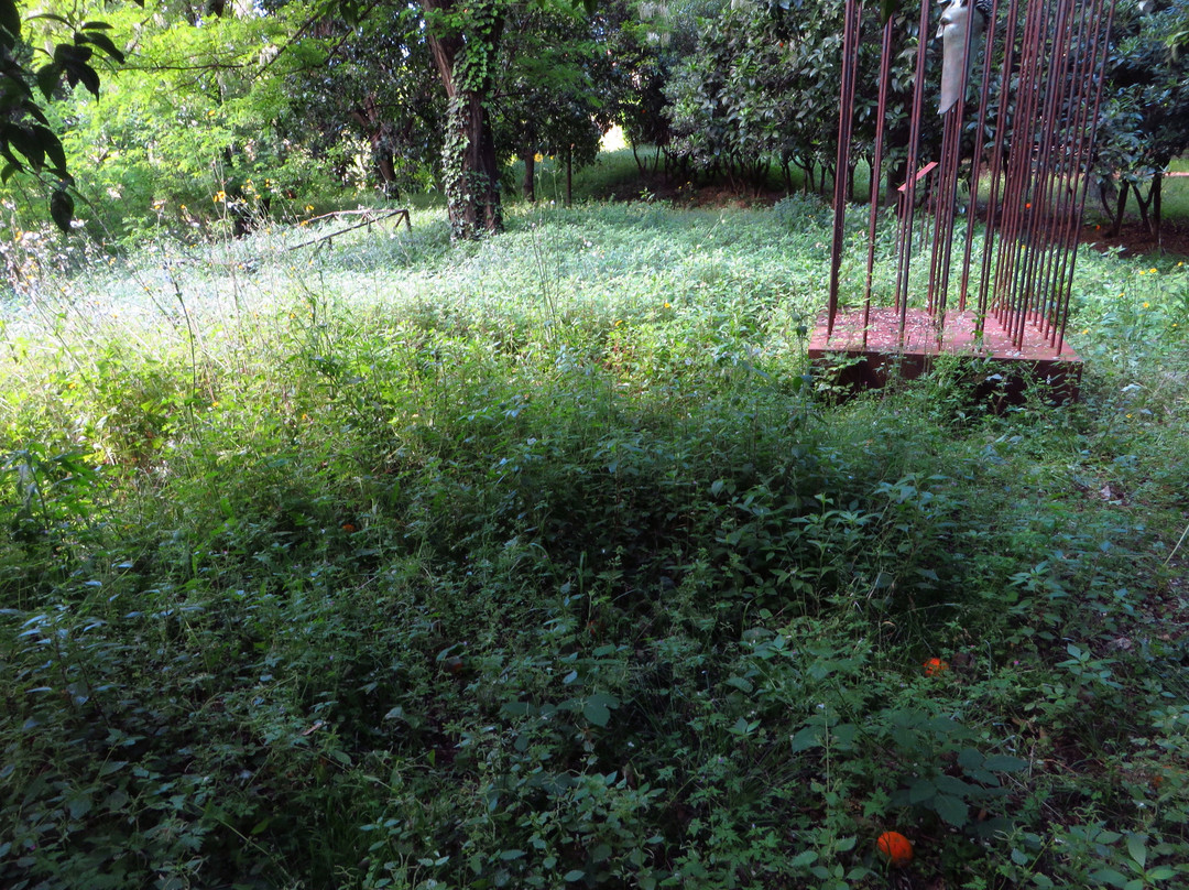 Area Archeologica di Fratte景点图片