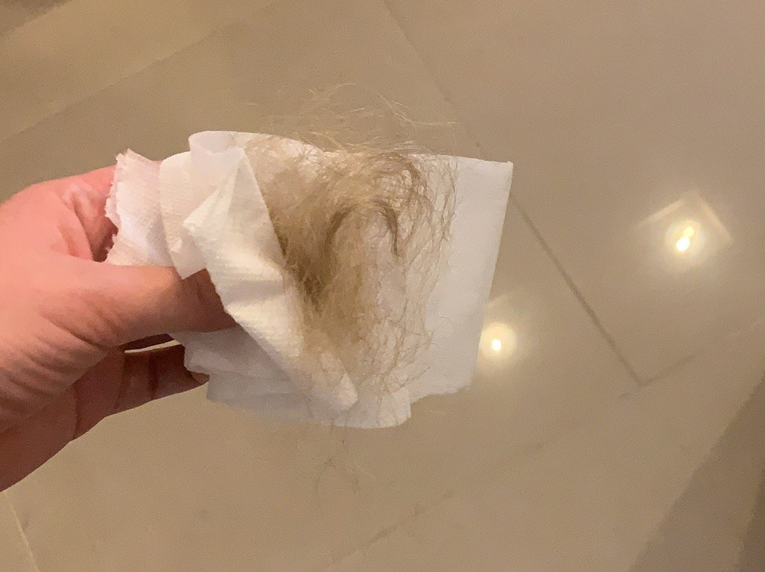 富晃嘉酒店主图