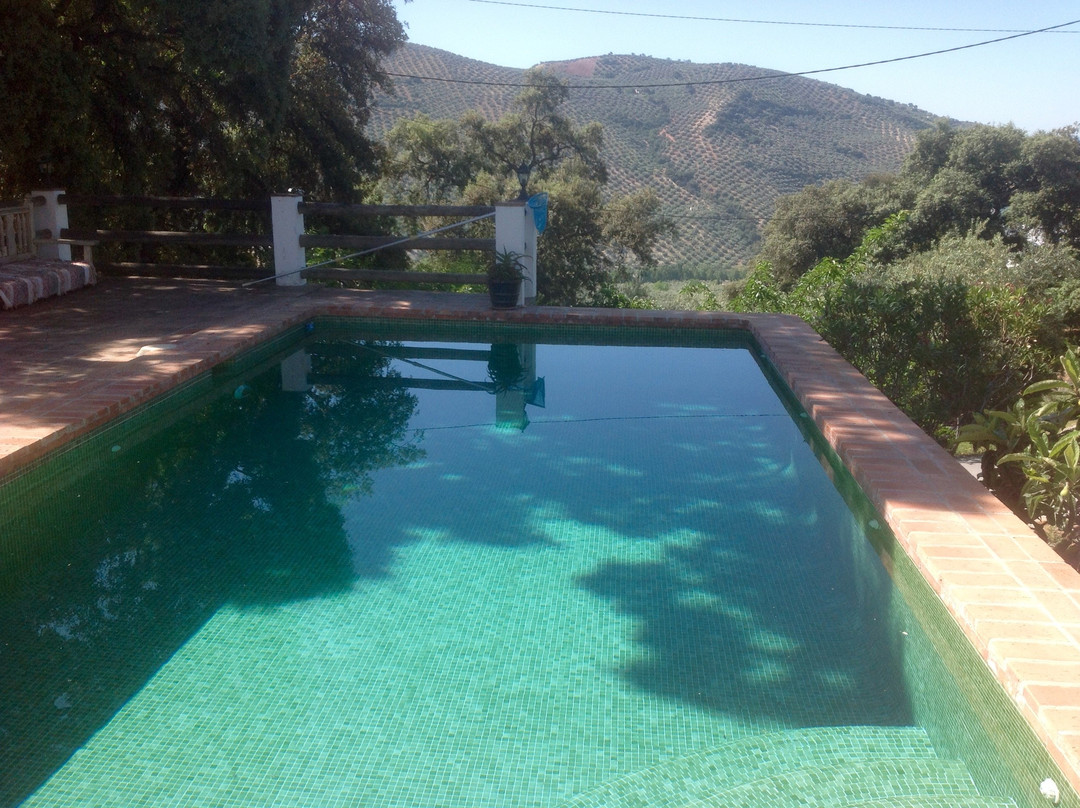 Gourmet B&B Finca Las Encinas主图