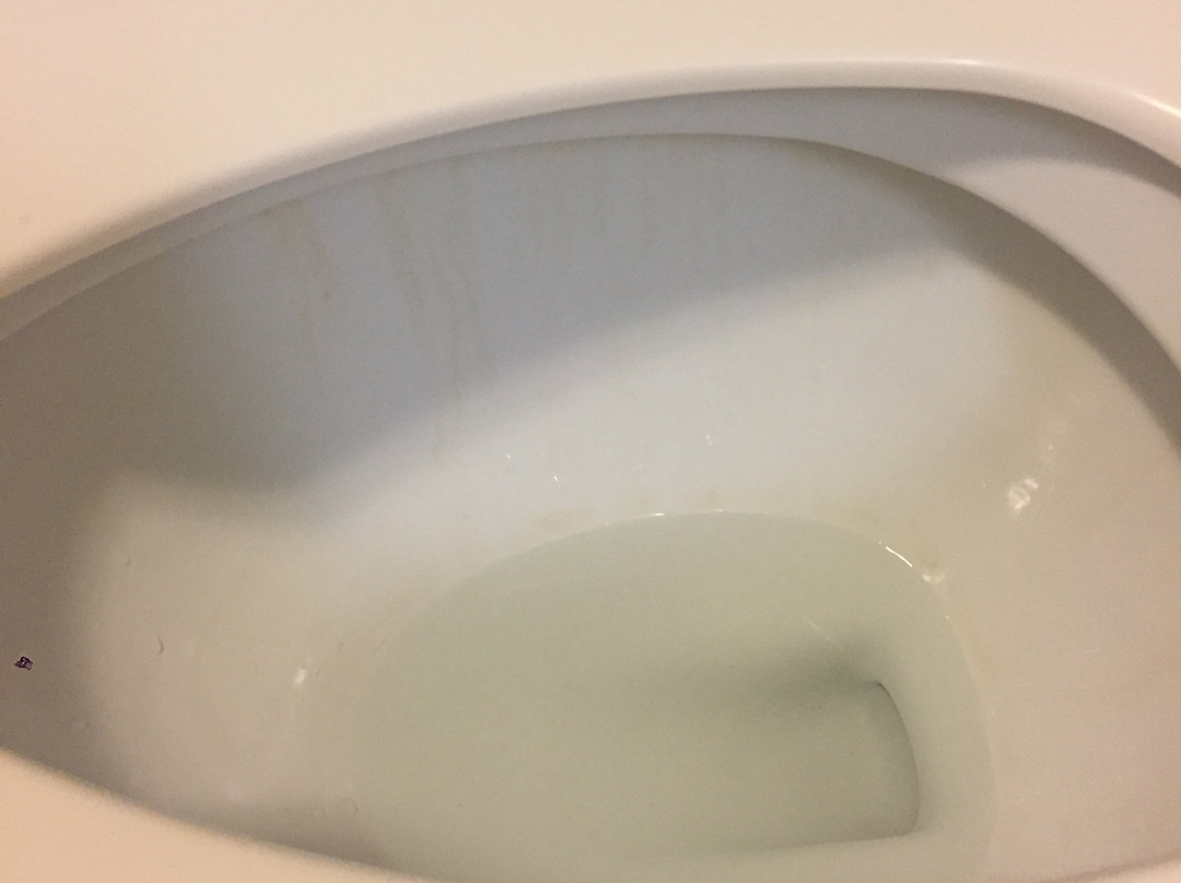 Holiday Inn Express & Suites Largo-clearwater By IHG主图