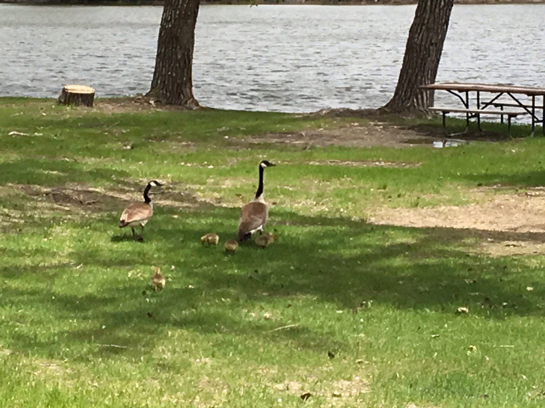 Fremont Lakes State Recreation Area-弗里蒙特必去景点