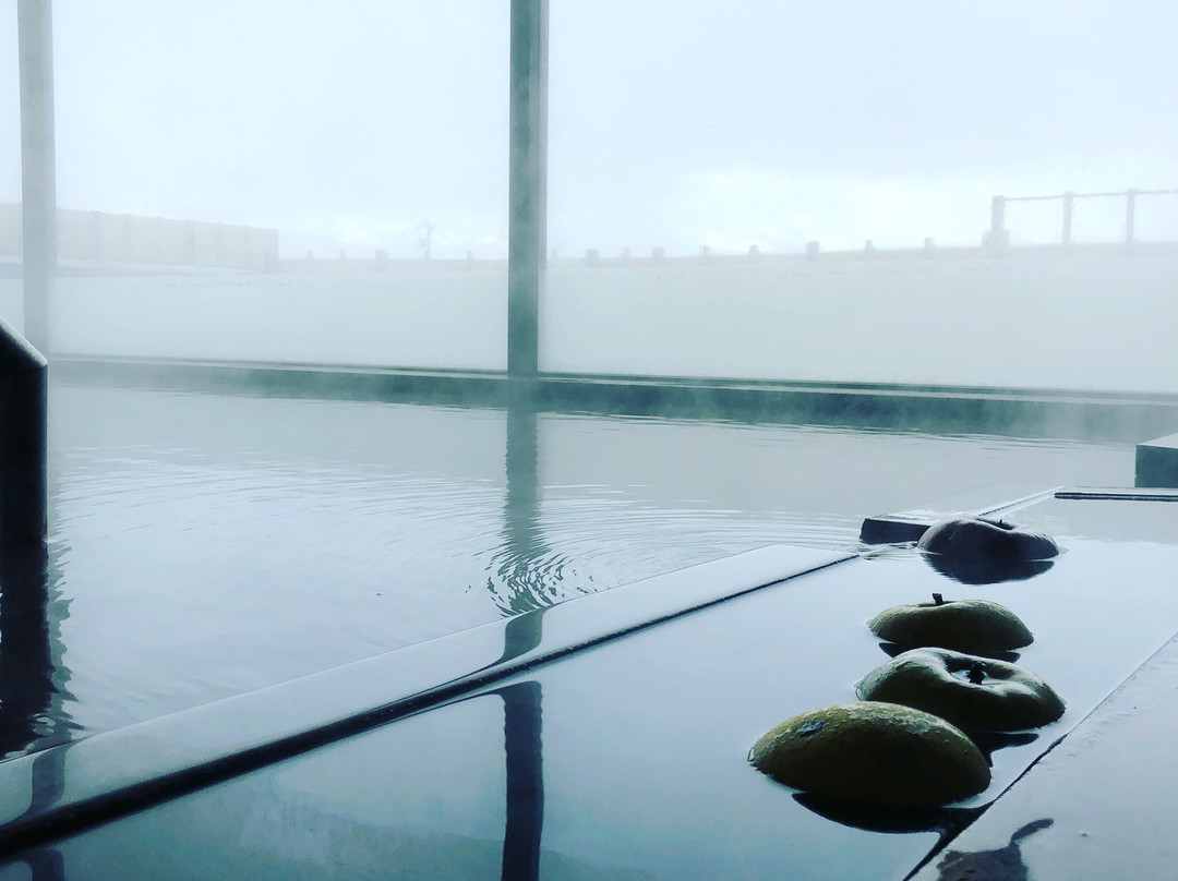 Toyono Onsen Ringo no Yu-长野县必去景点