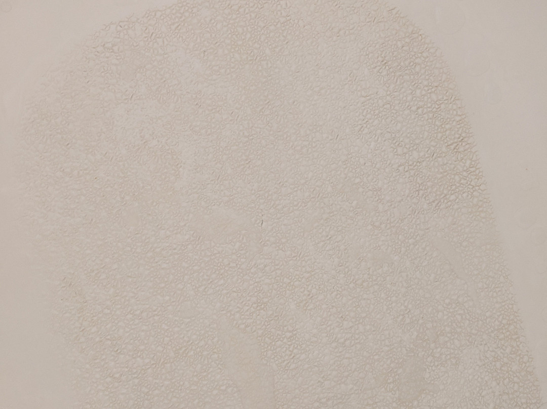 中心戴斯酒店主图