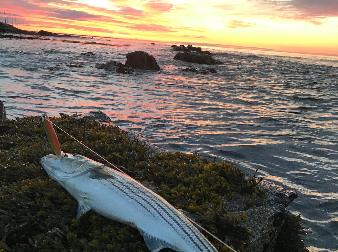 Kayak Fish New England-肯纳邦克港必去景点
