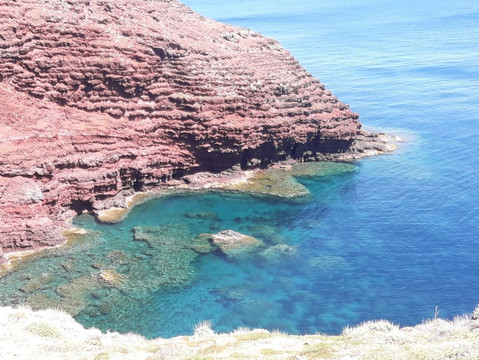 Torre dello Zenobito