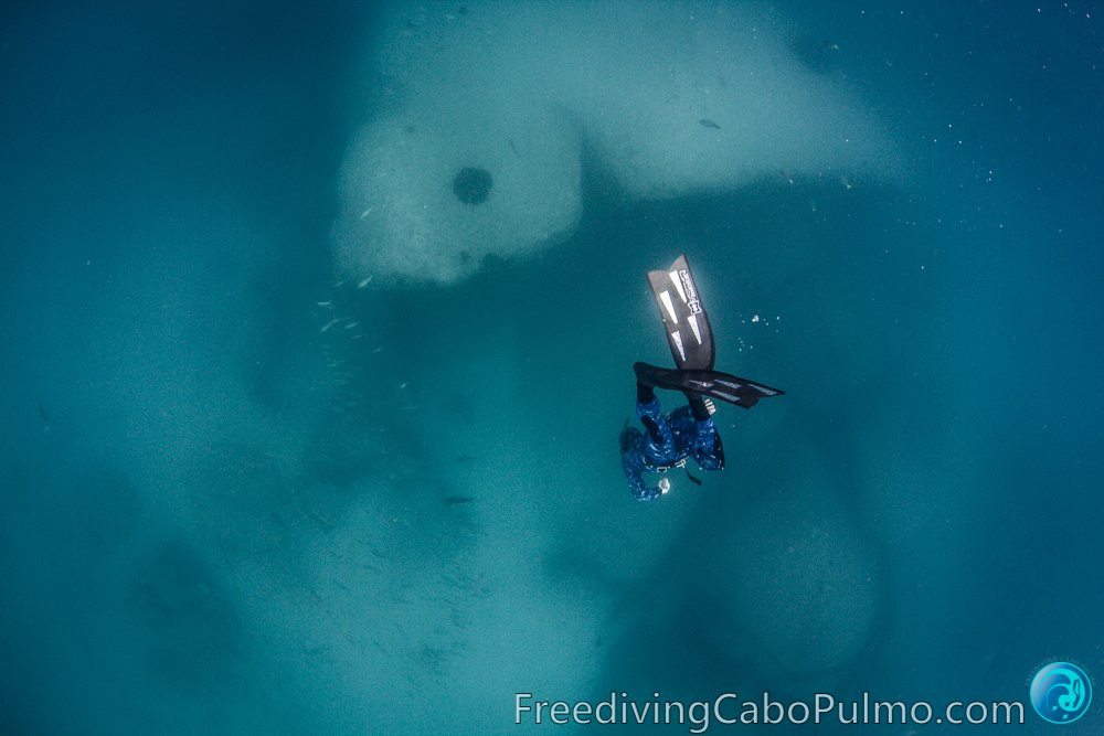 Freediving Cabo Pulmo-Cabo Pulmo必去景点